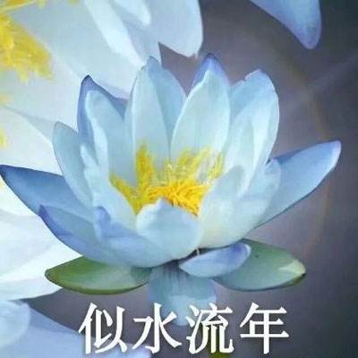忍者必须死2无限勾玉破解版下载