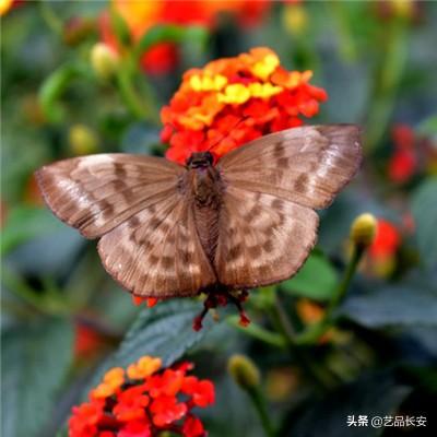 决战沙城正版h5手游下载