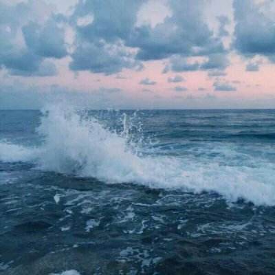 霸域盛世官方版下载