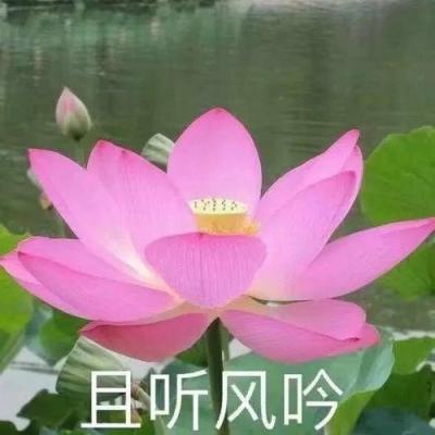 PH今日热榜 | 2025-07-26